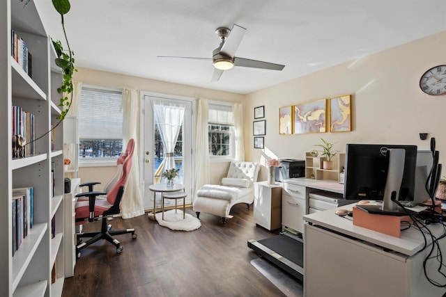 office space with ceiling fan, plenty of natural light, and dark hardwood / wood-style flooring