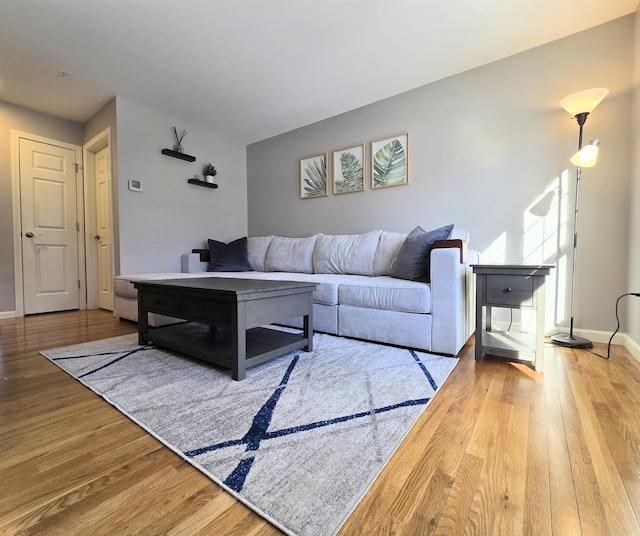 living room with hardwood / wood-style flooring