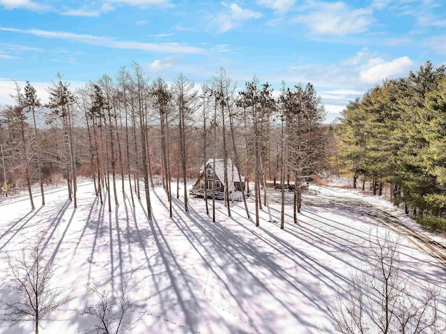 view of yard covered in snow