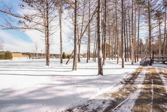 view of yard layered in snow