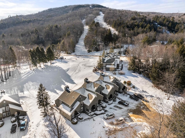 view of snowy aerial view