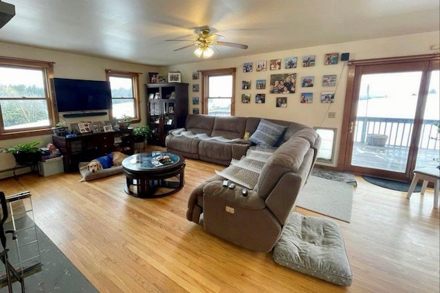 living room featuring ceiling fan, light hardwood / wood-style flooring, and a healthy amount of sunlight