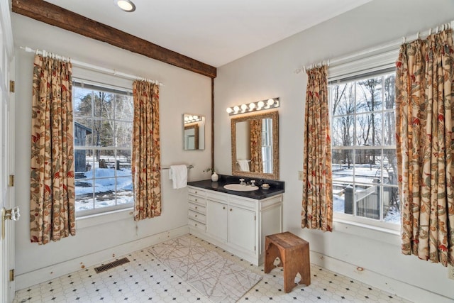 bathroom with vanity and plenty of natural light