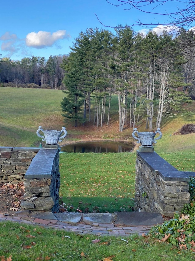 view of yard featuring a water view