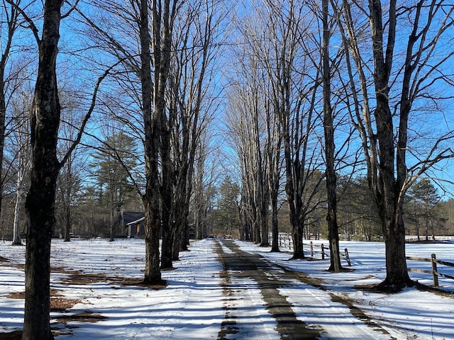 view of snowy yard