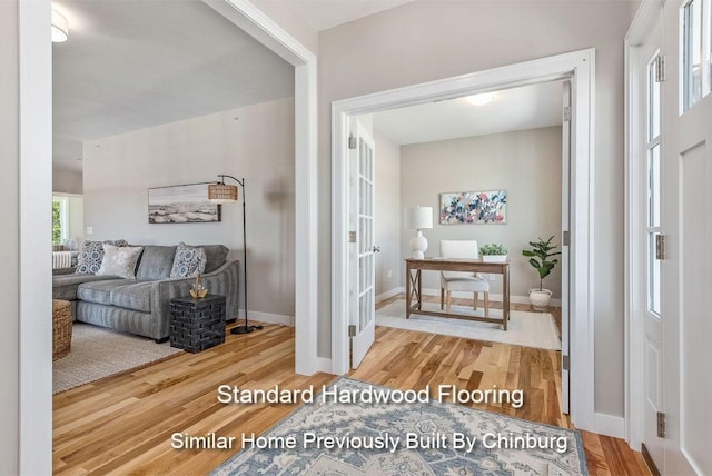 foyer featuring wood-type flooring