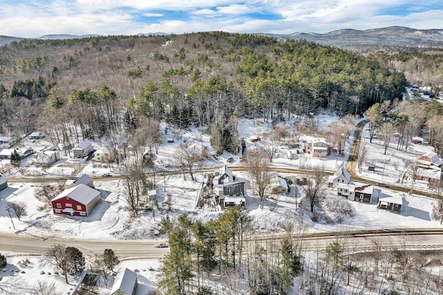95 Plymouth St, Meredith, NH 03253 - snowy aerial view featuring a mountain view and a wooded view