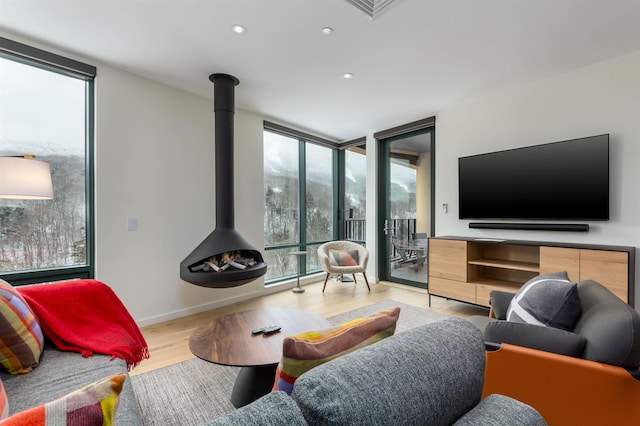 living room with a wood stove, a wall of windows, and light wood-type flooring