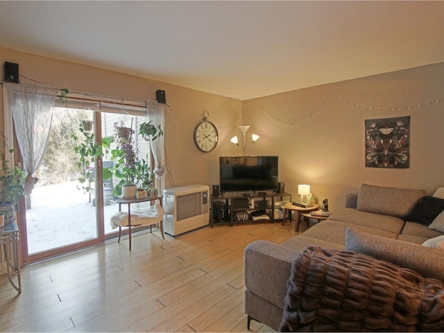 living room featuring light hardwood / wood-style flooring