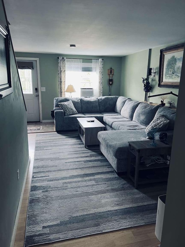 living room featuring wood-type flooring