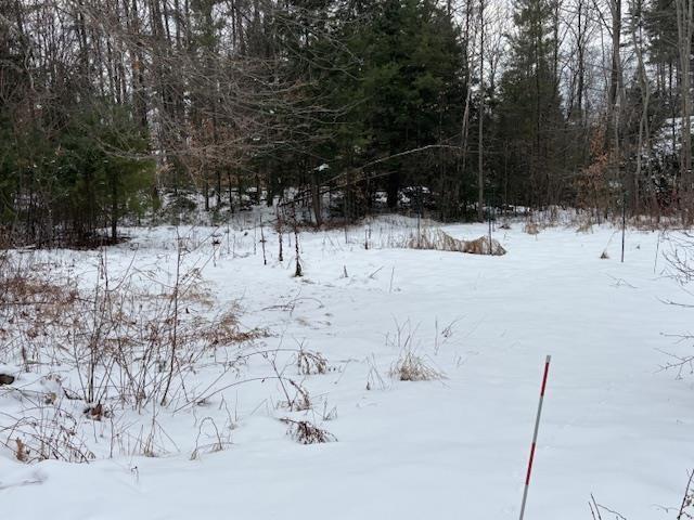 view of yard layered in snow