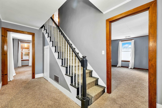 staircase with crown molding and carpet