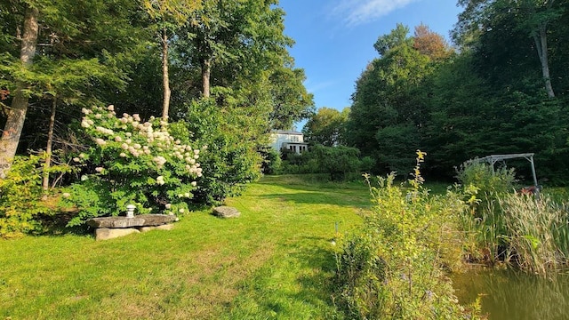 view of yard featuring a water view