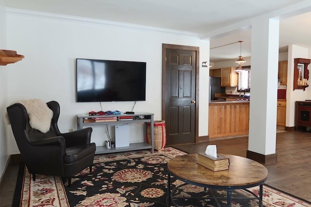 living room featuring crown molding and dark hardwood / wood-style flooring