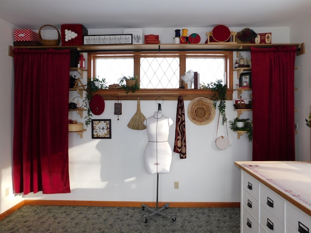 interior space with carpet and a wealth of natural light