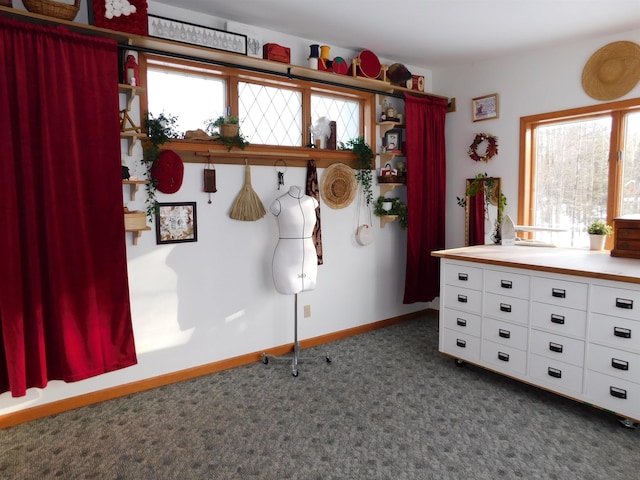 interior space featuring plenty of natural light and dark carpet