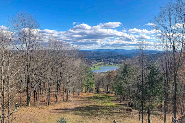 mountain view featuring a water view