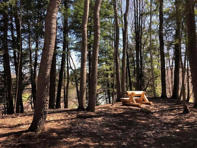 view of local wilderness