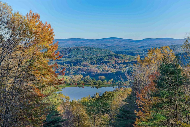 view of mountain feature featuring a water view