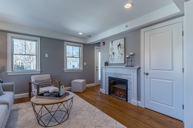 living room with a fireplace and hardwood / wood-style floors