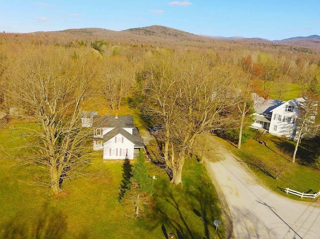 birds eye view of property featuring a mountain view