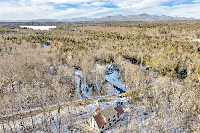 bird's eye view featuring a mountain view