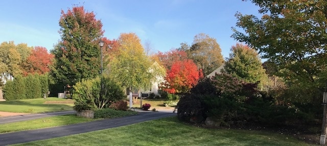 view of property's community with a yard