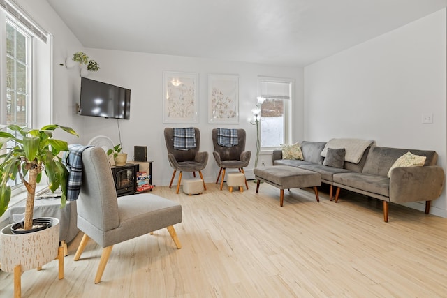 living room featuring a wood stove and light hardwood / wood-style flooring