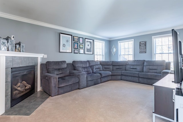 carpeted living room featuring crown molding and a fireplace