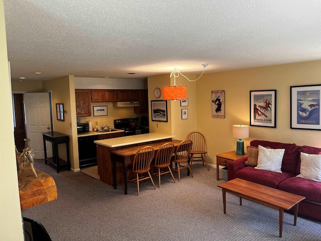 carpeted living room with sink and a textured ceiling