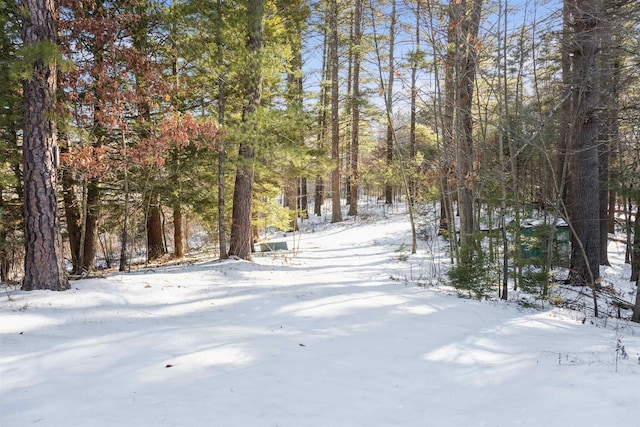 view of yard covered in snow