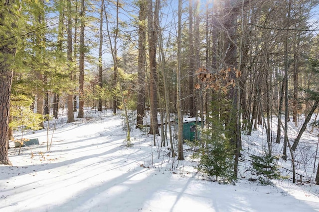 view of yard covered in snow