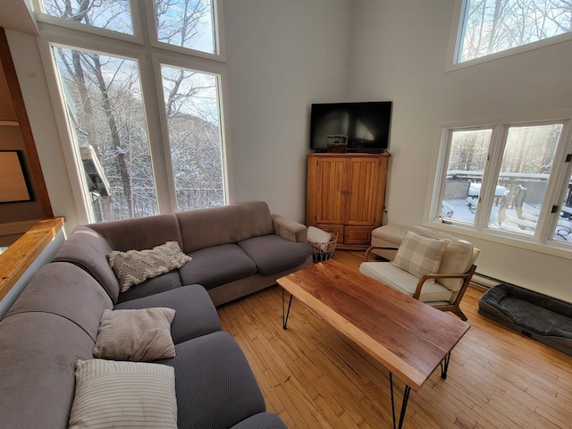 living room with light hardwood / wood-style floors and a high ceiling