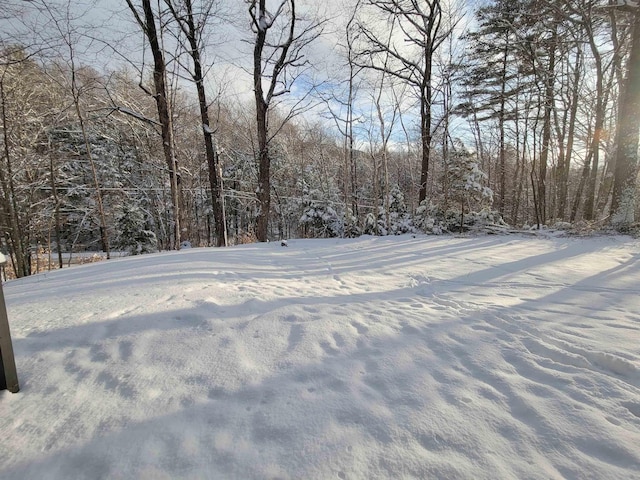 view of snowy yard