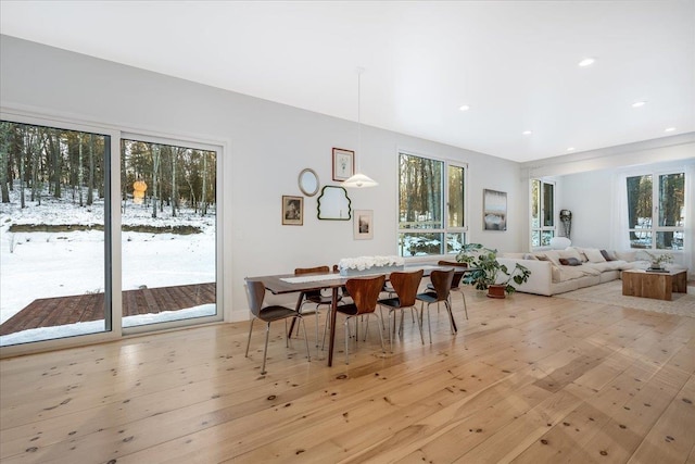 dining room featuring light hardwood / wood-style floors and a healthy amount of sunlight