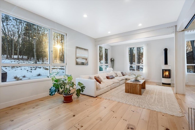 living room with a wood stove and light wood-type flooring