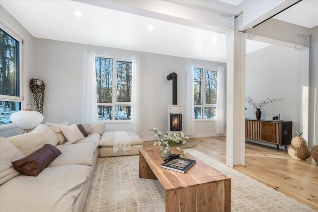 living room with a wood stove and light hardwood / wood-style flooring