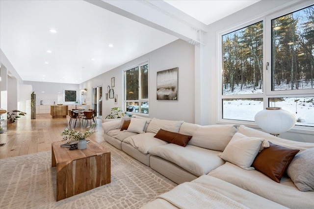 living room with light hardwood / wood-style flooring