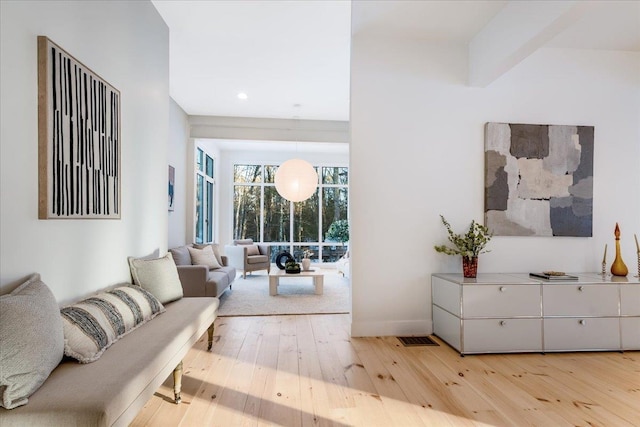 living room featuring light hardwood / wood-style flooring