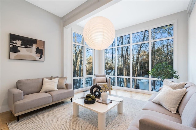 living room with hardwood / wood-style flooring and beam ceiling