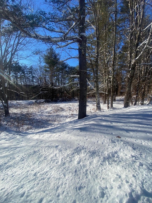 view of yard layered in snow