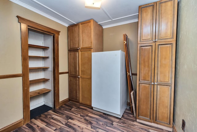 kitchen featuring dark wood-type flooring, ornamental molding, and white fridge