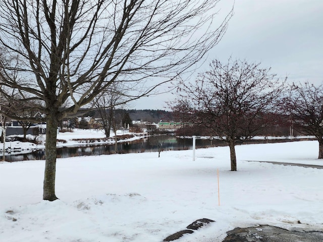 view of yard covered in snow