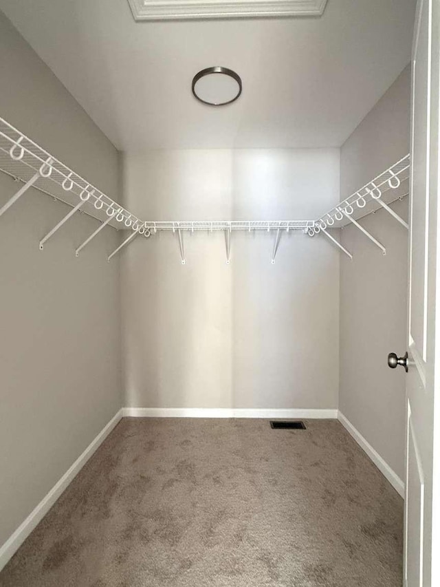 walk in closet with carpet