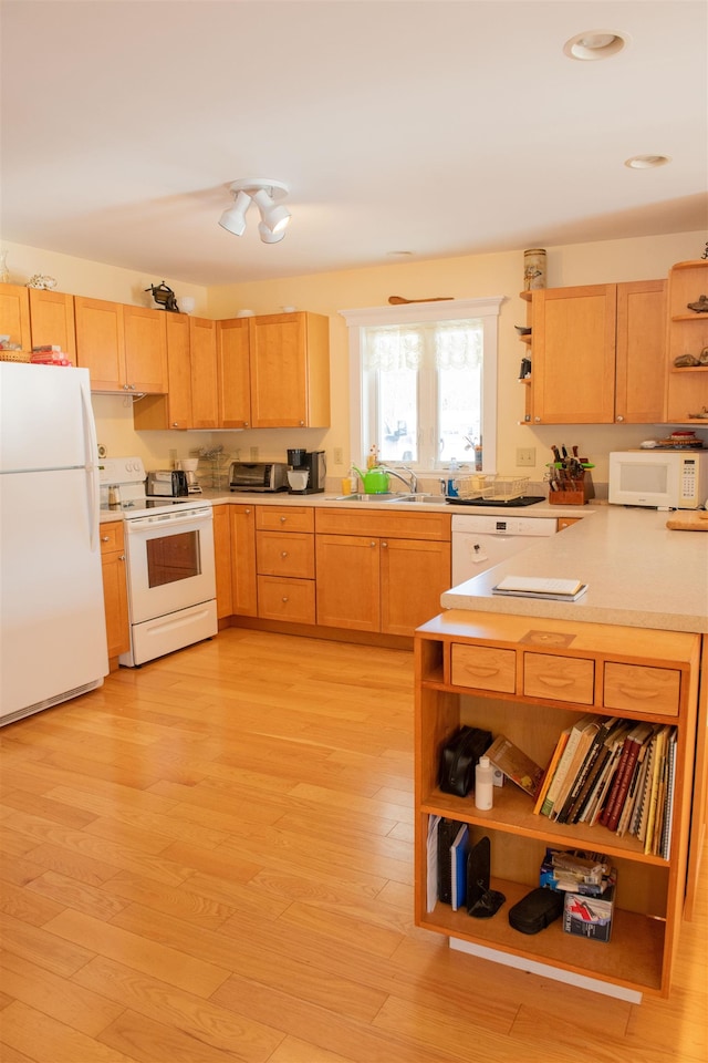 kitchen featuring sink, light brown cabinets, white appliances, and light hardwood / wood-style flooring