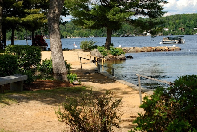 property view of water with a boat dock