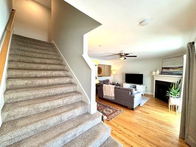 stairs featuring wood-type flooring and ceiling fan