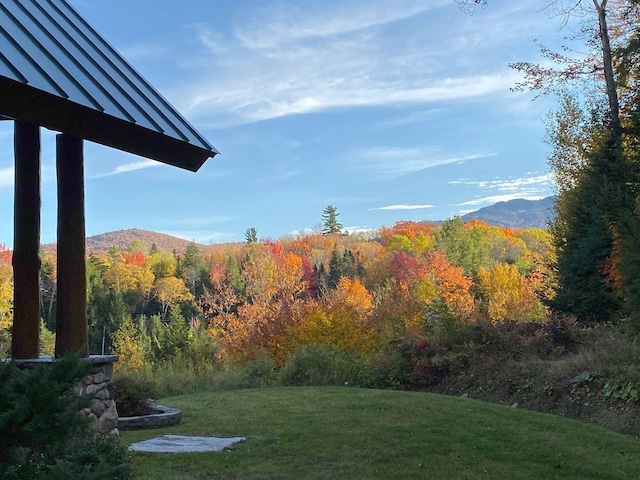 view of yard featuring a mountain view