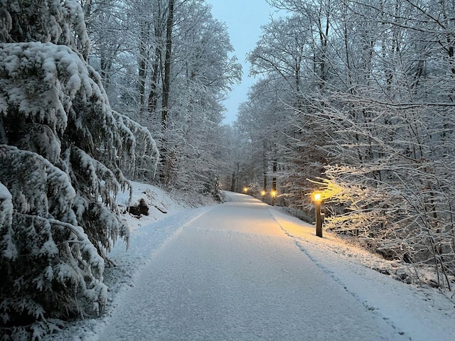 view of road