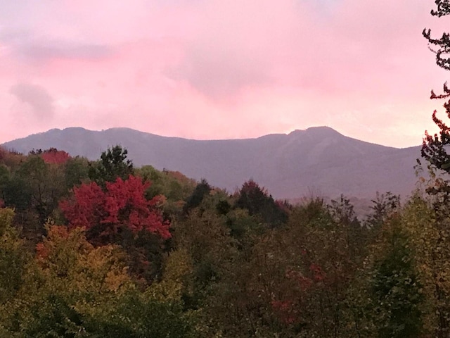 property view of mountains